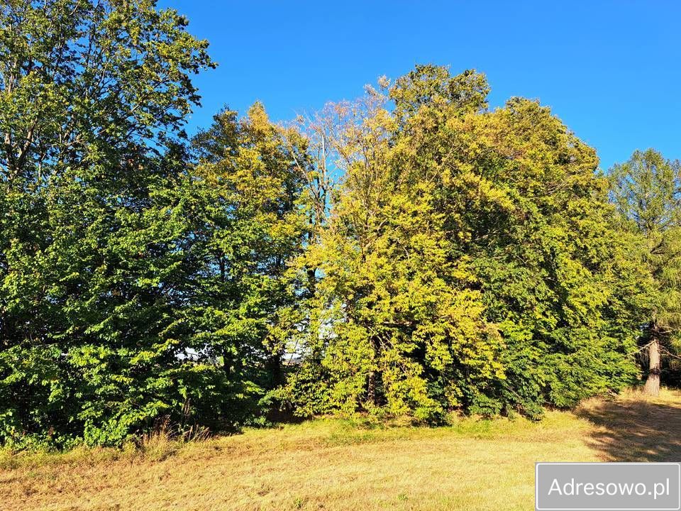 Działka inwestycyjna Somianka. Zdjęcie 2