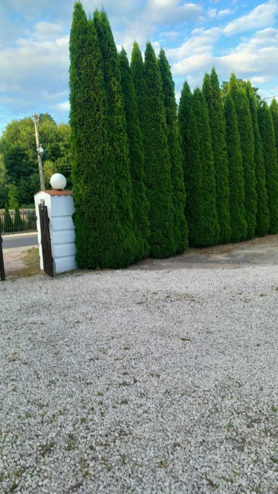 Działka inwestycyjna Sochaczew. Zdjęcie 3