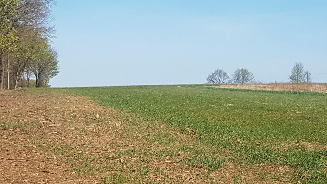 Działka rolna Dargikowo. Zdjęcie 6