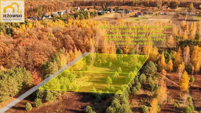 Działka budowlana Kolonia Góra Puławska. Zdjęcie 8