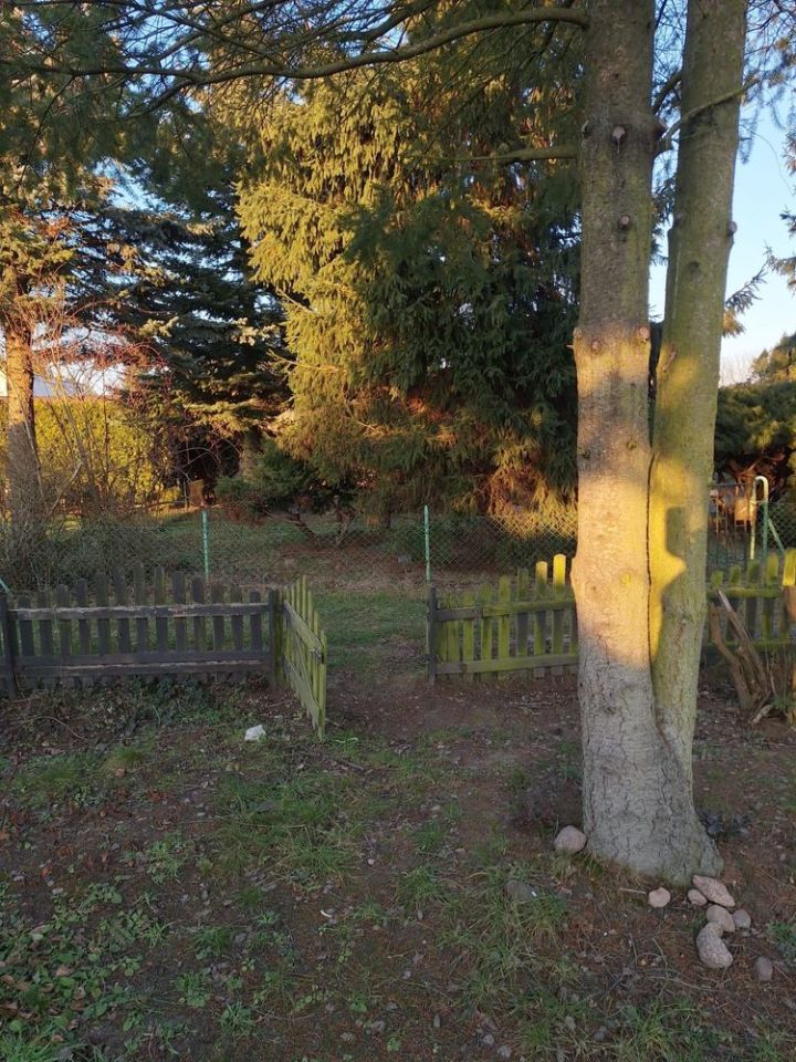 Działka rod Koninko. Zdjęcie 6