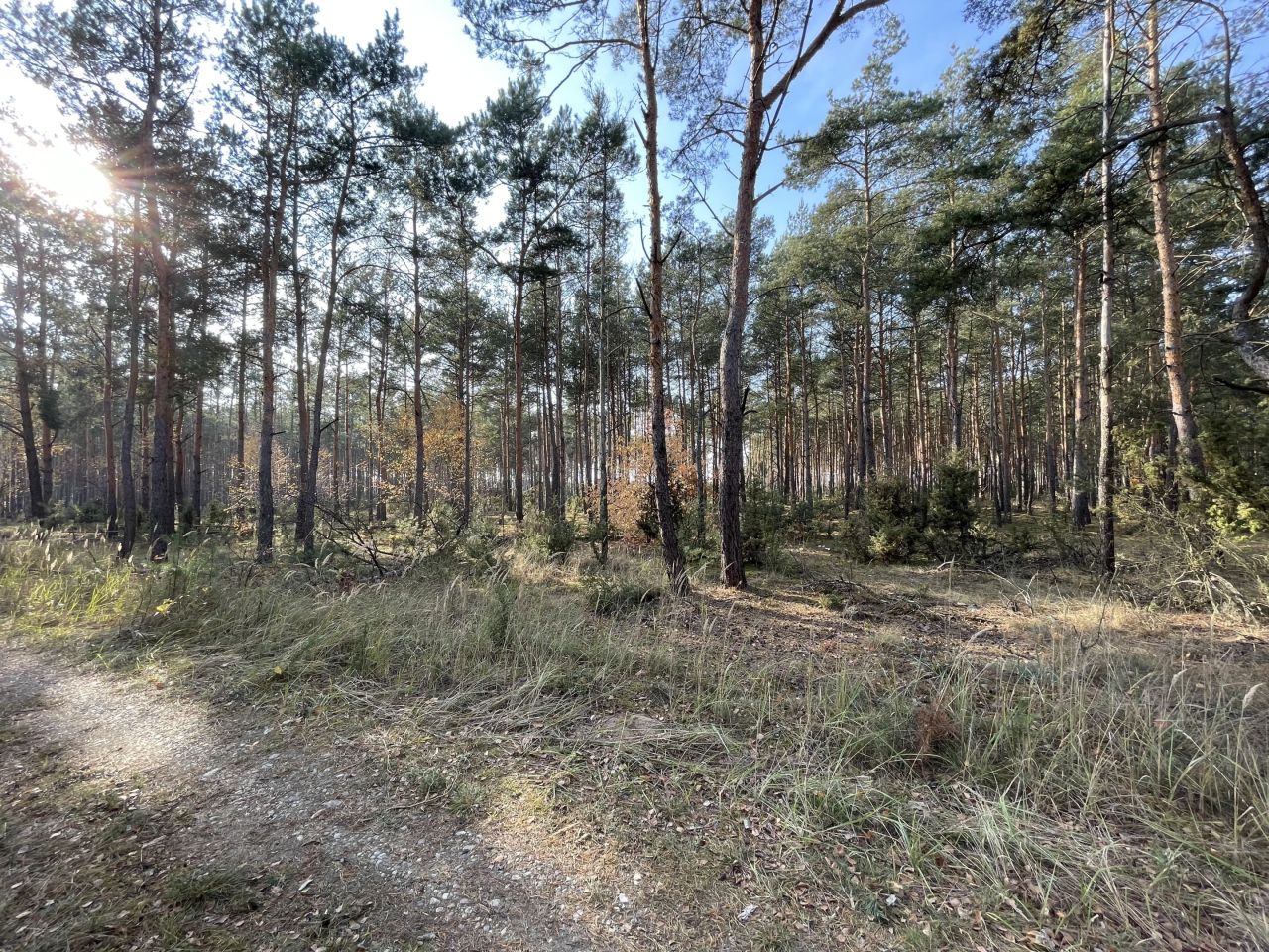Działka budowlana Młyniska, Młyniska. Zdjęcie 2