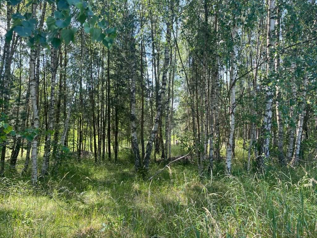Działka rekreacyjna Chłopowo. Zdjęcie 6