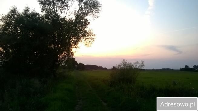 Działka leśna Garki. Zdjęcie 9