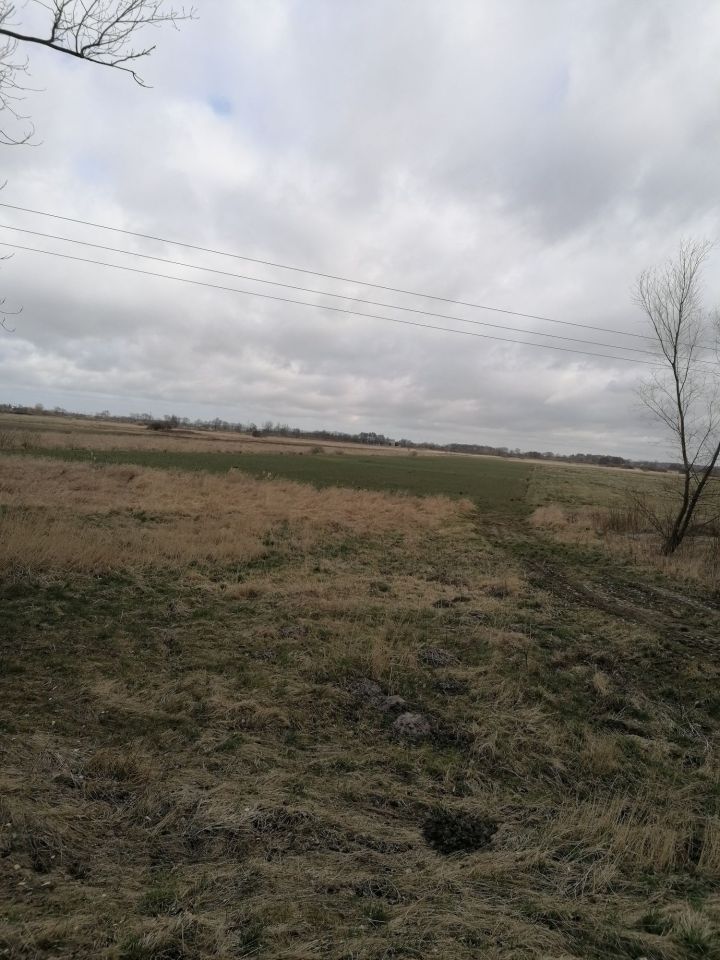 Działka rolna Rusko. Zdjęcie 6