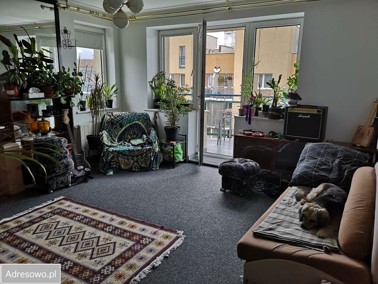 Pokój Gdynia Wielki Kack, ul. Myśliwska. Zdjęcie 2