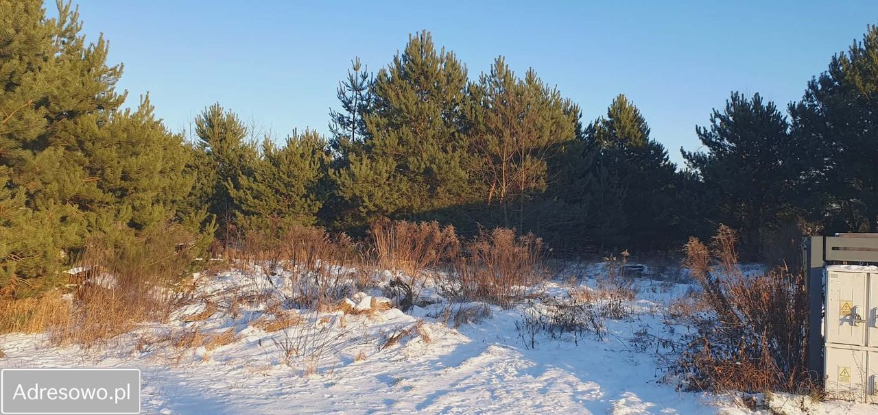 Działka budowlana Łochowo, ul. Władysława Reymonta. Zdjęcie 3