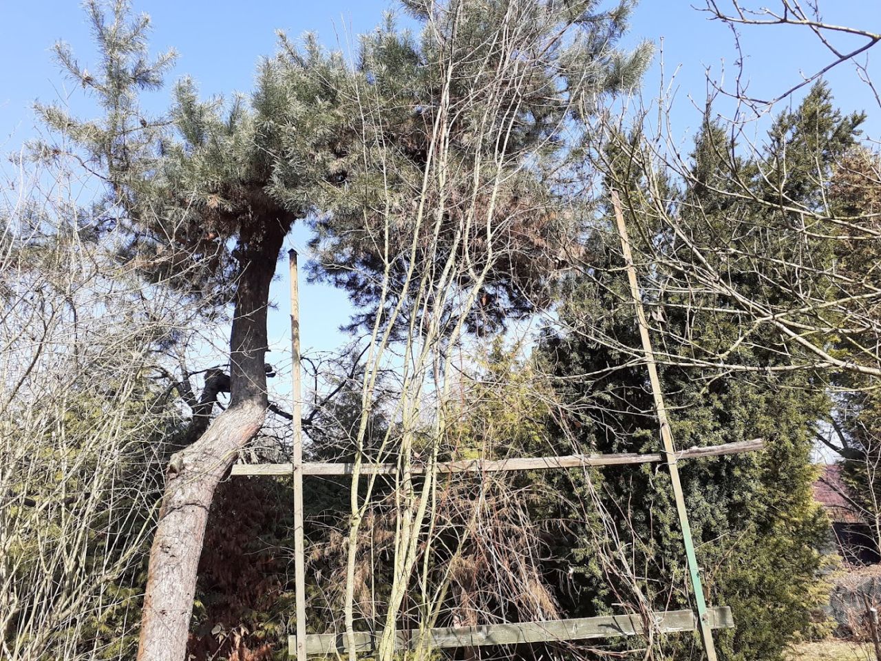 Działka rod Balice, ul. Sportowa. Zdjęcie 5