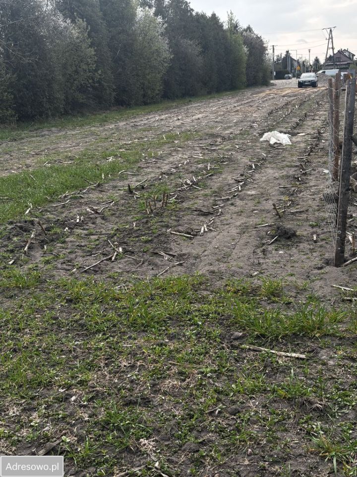 Działka rolna Ciechanów, ul. Henryka Sławika. Zdjęcie 8