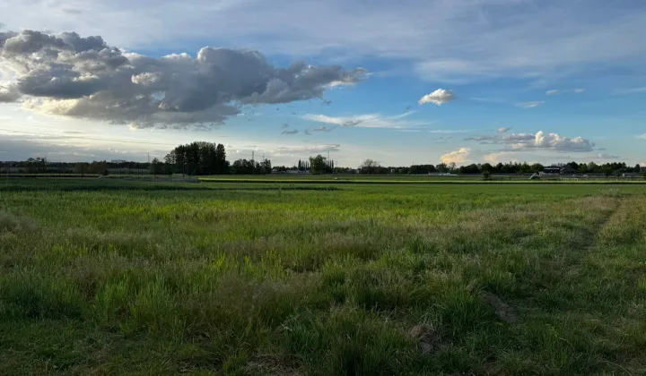 Działka budowlana Adamowo, Adamowo