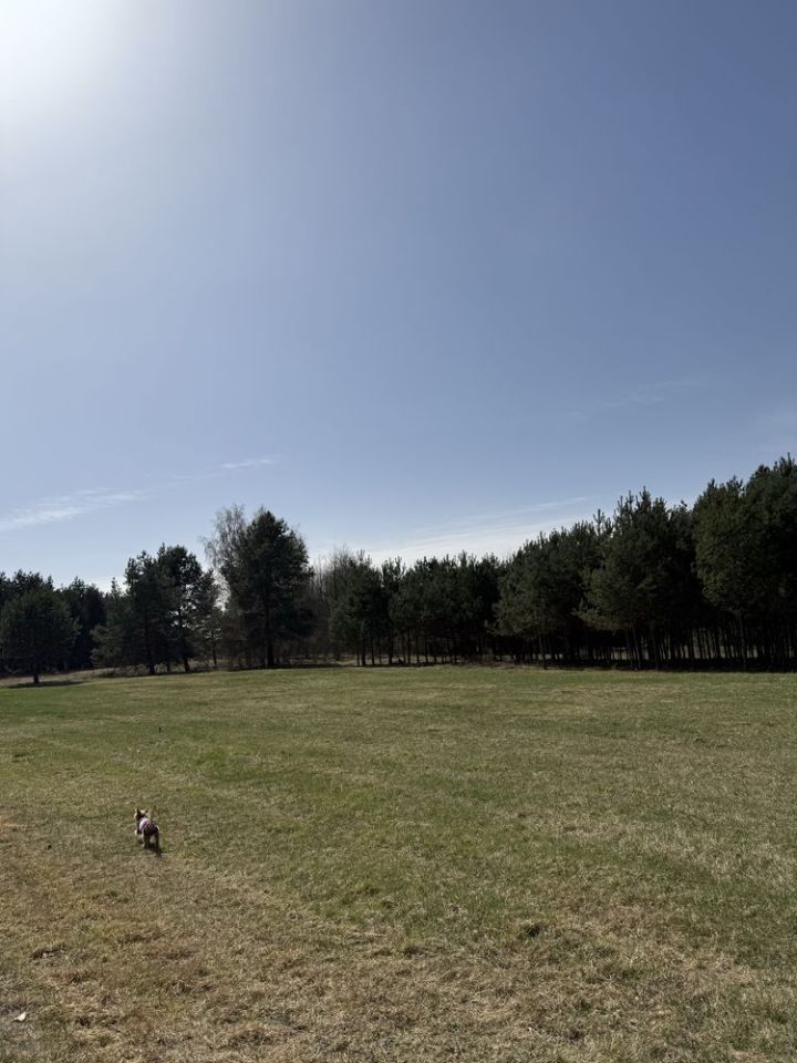 Działka budowlana Adamów-Wieś. Zdjęcie 2