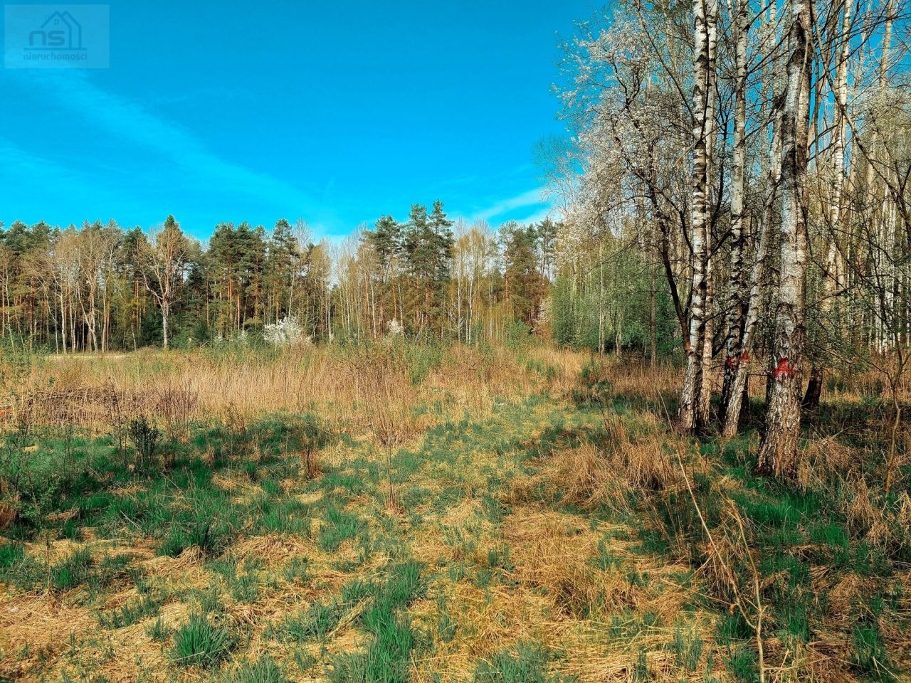 Działka siedliskowa Zabłudów, ul. Kolonia. Zdjęcie 7