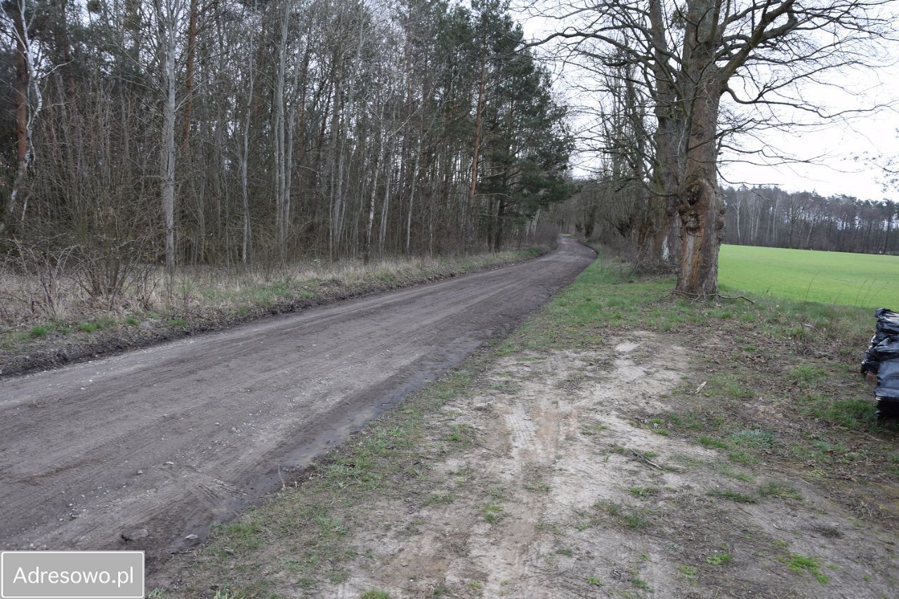 Działka budowlana Niedarzyn. Zdjęcie 2