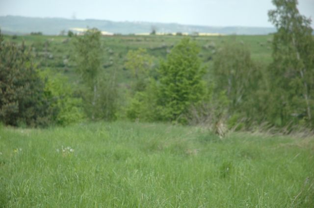 Działka siedliskowa Zalas, ul. Piaskowa. Zdjęcie 1