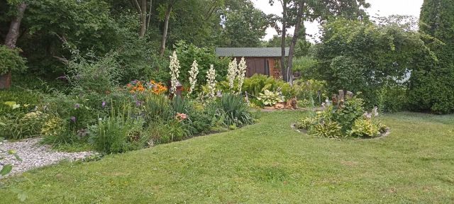 Działka rod Sosnowiec, ul. Kombajnistów. Zdjęcie 1