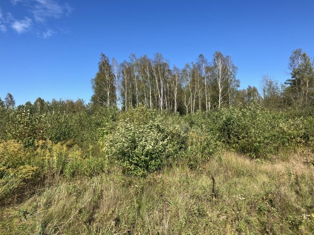 Działka rolna Młotkowice Podlipie. Zdjęcie 1