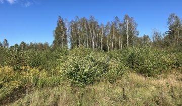 Działka rolna Młotkowice Podlipie