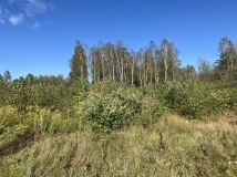 Działka rolna Młotkowice Podlipie