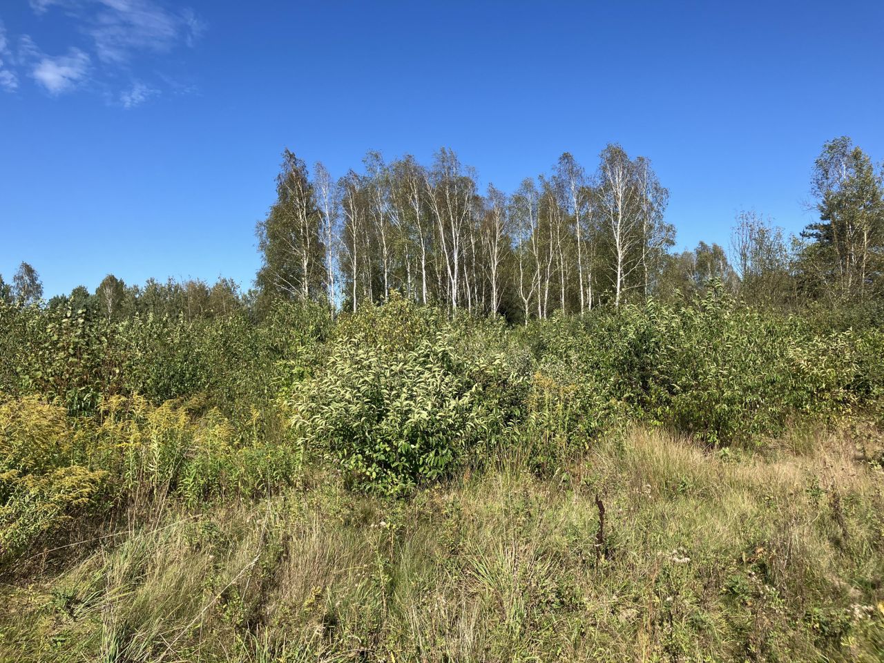 Działka rolna Młotkowice Podlipie