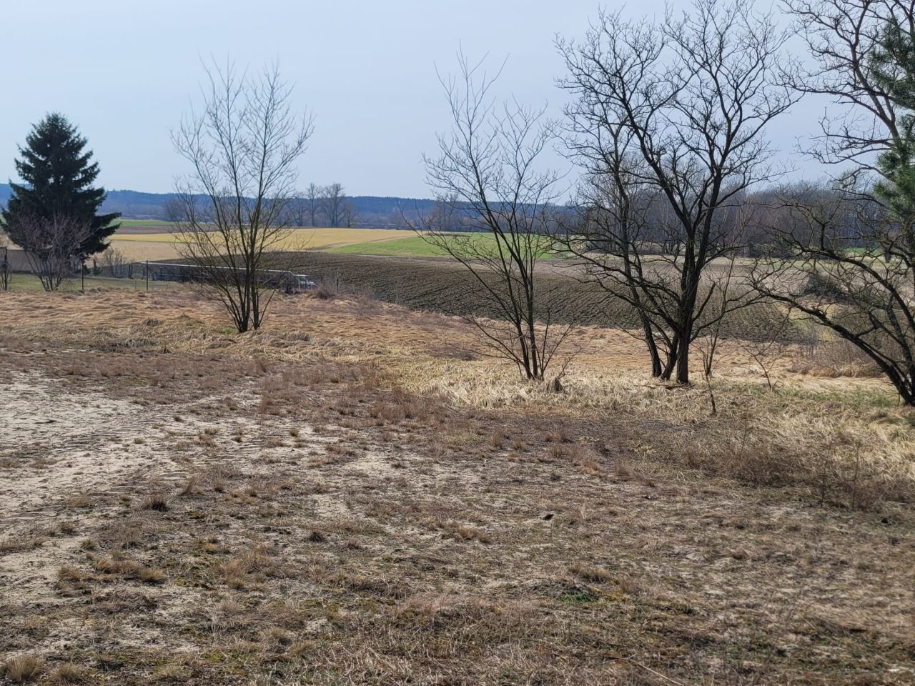 Działka budowlana Silno, ul. Wiślana. Zdjęcie 8