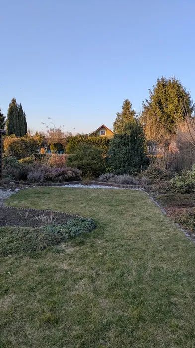 Działka rod Żory, os. Pawlikowskiego. Zdjęcie 4