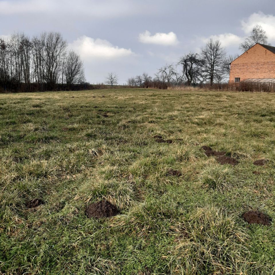 Działka rolno-budowlana Brzyków. Zdjęcie 3