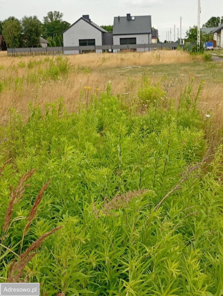 Działka budowlana Podkampinos. Zdjęcie 2
