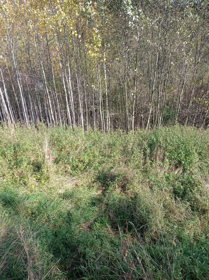 Działka rolna Szczawnica, ul. Sopotnicka. Zdjęcie 6
