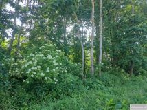 Działka budowlana Oksa. Zdjęcie 1