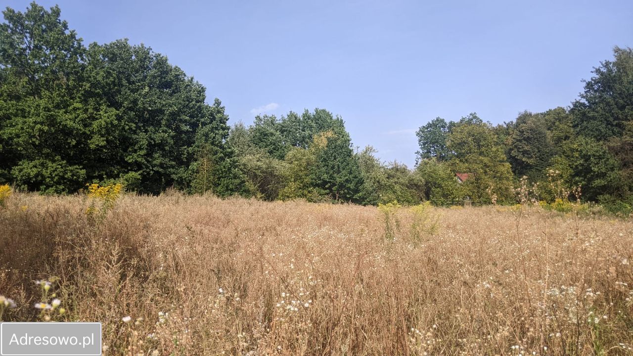 Działka budowlana Trzciana. Zdjęcie 6