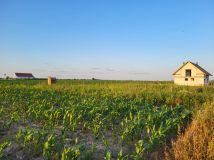Działka budowlana Karwiniec. Zdjęcie 1