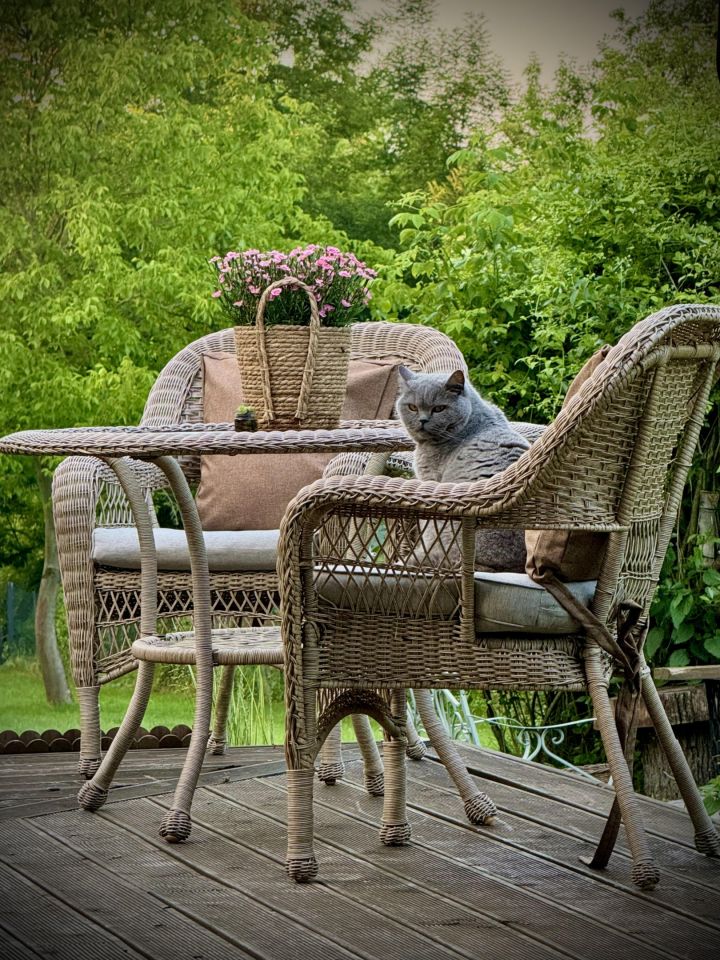 dom wolnostojący, 4 pokoje Kijany. Zdjęcie 11