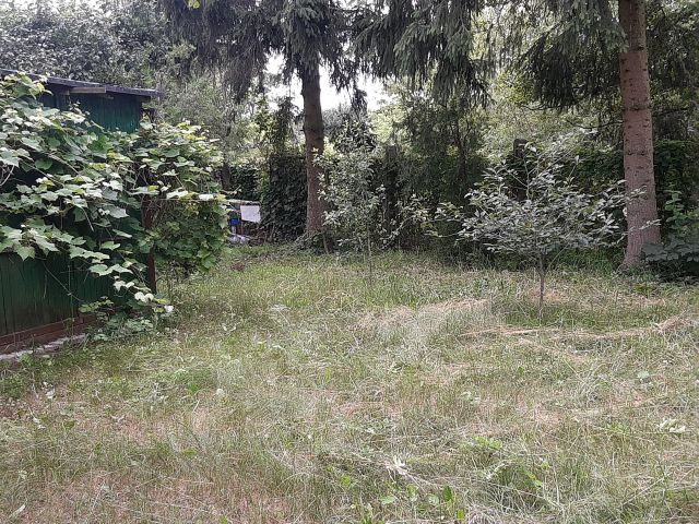 Działka rod Włocławek Południe , ul. Lisek. Zdjęcie 1