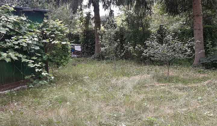 Działka rod Włocławek Południe , ul. Lisek