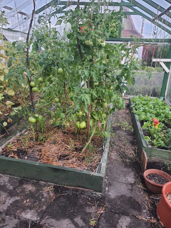 Działka rod Piła. Zdjęcie 3