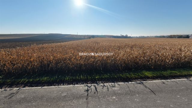 Działka budowlana Prandocin-Iły. Zdjęcie 11