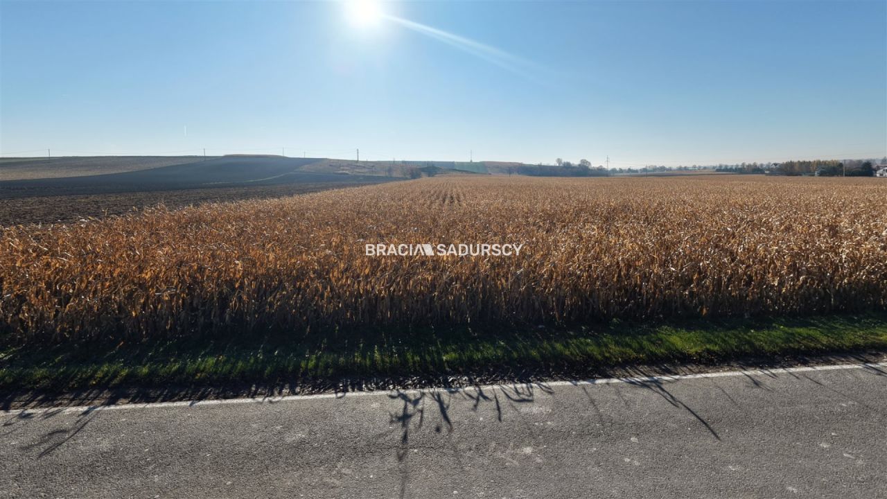 Działka budowlana Prandocin-Iły. Zdjęcie 11