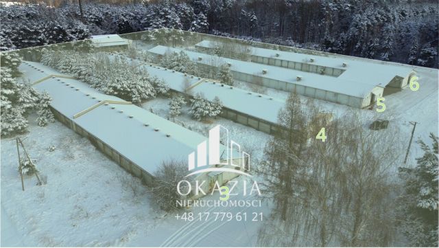 Działka inwestycyjna Wysoka Głogowska. Zdjęcie 4