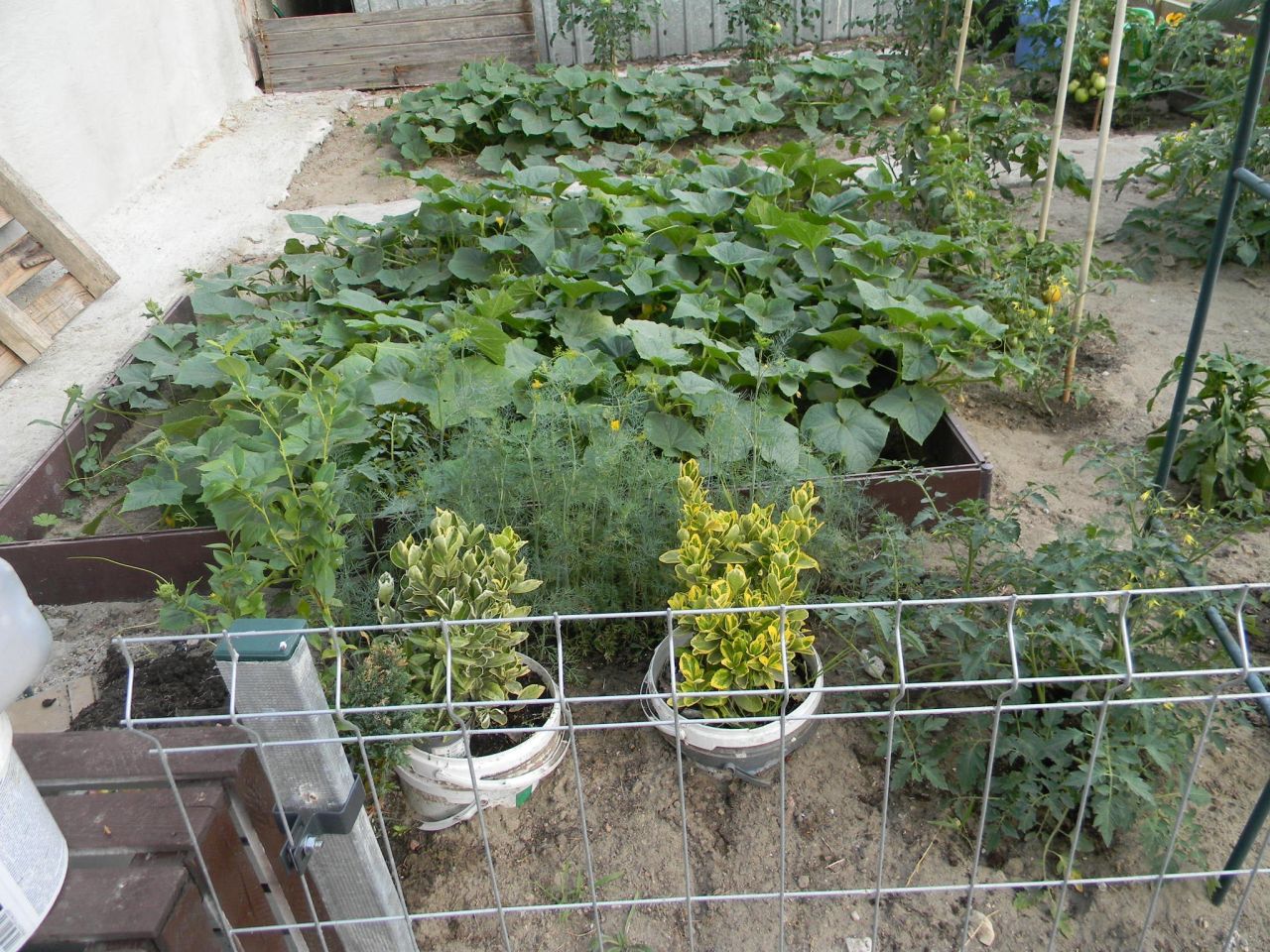 Mieszkanie 3-pokojowe Nagoszewka Pierwsza. Zdjęcie 17