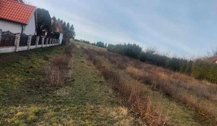 Działka budowlana Komarówka Podlaska, ul. Wiskowska