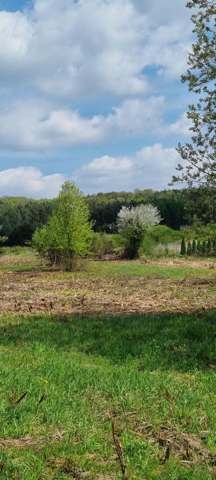 Działka budowlana Chęciny, ul. Sitkówka. Zdjęcie 4