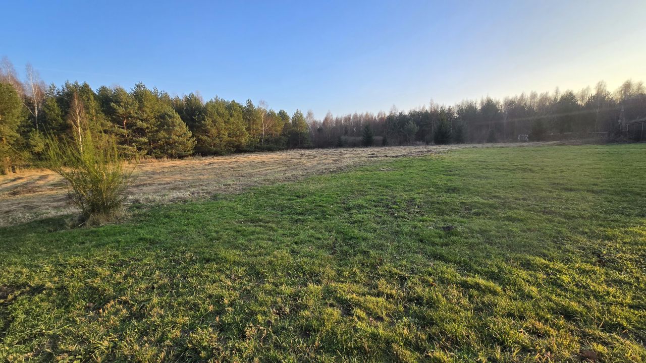 dom wolnostojący, 6 pokoi Kolonia Piaski. Zdjęcie 29