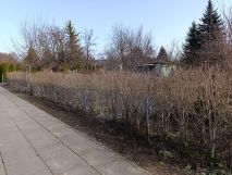 Działka rod Warszawa Włochy, ul. Sasanki. Zdjęcie 1