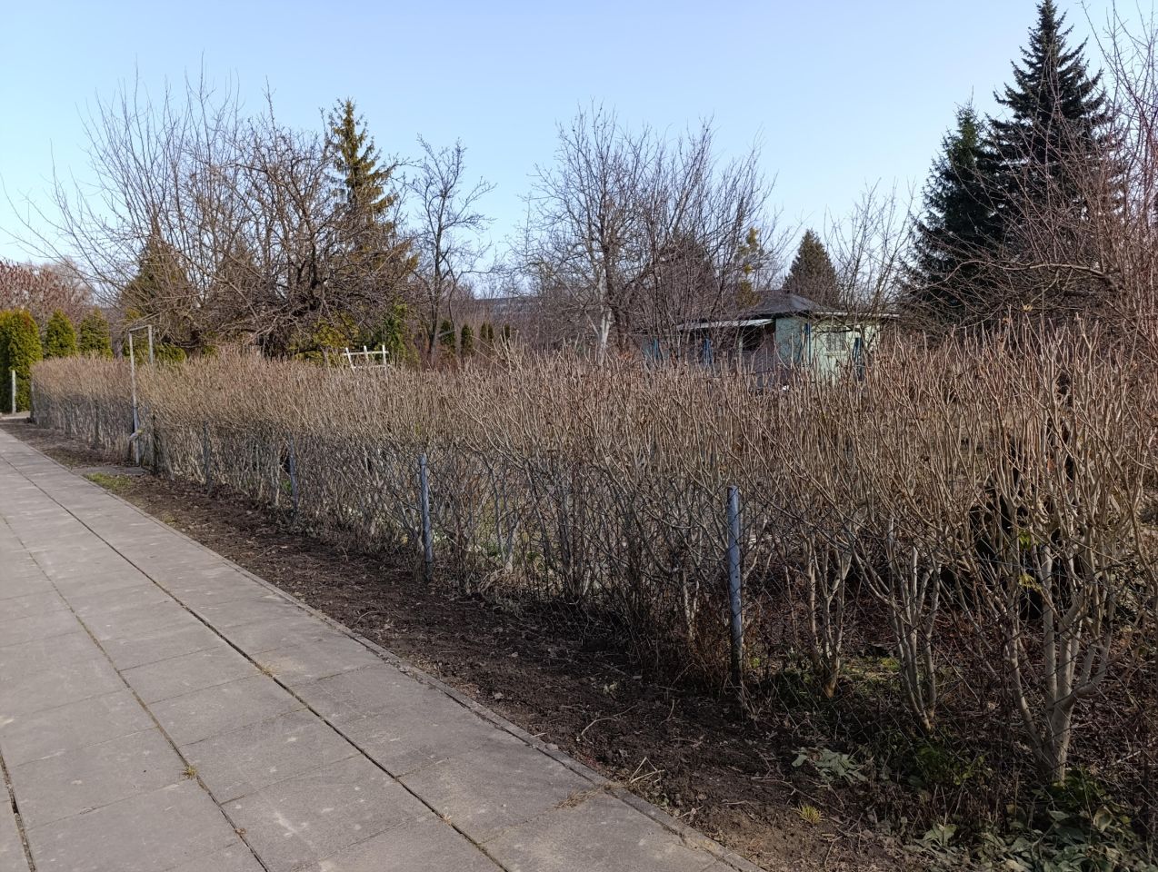 Działka rod Warszawa Włochy, ul. Sasanki. Zdjęcie 2