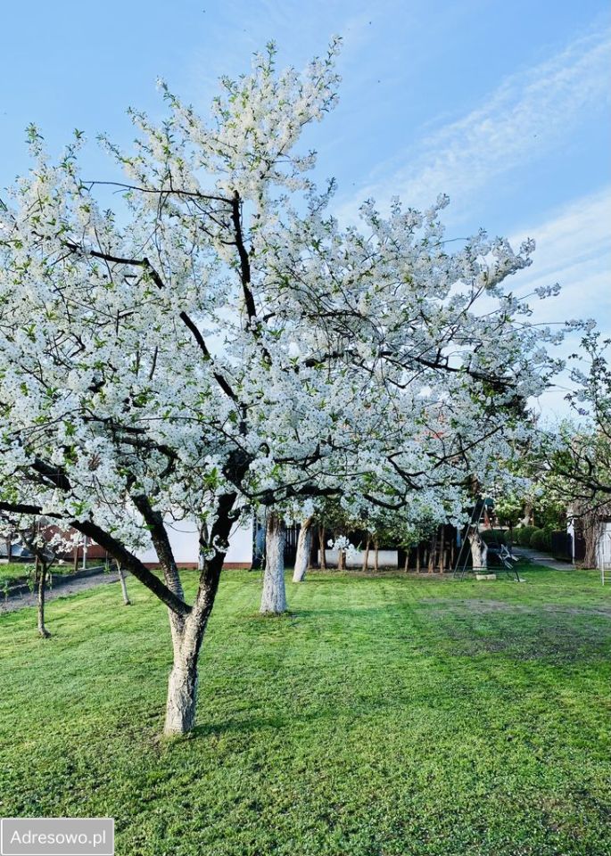 dom wolnostojący, 5 pokoi Szczytno, ul. Antoniego Osuchowskiego. Zdjęcie 5