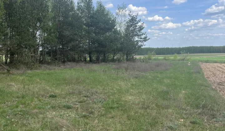 Działka leśna Stare Modzele