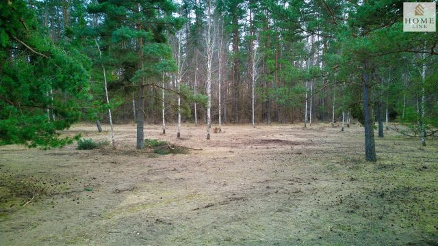 Działka inwestycyjna Maróz. Zdjęcie 12