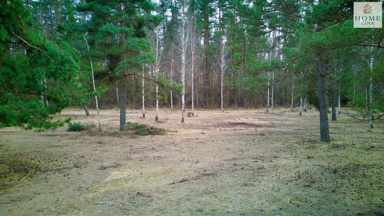 Działka inwestycyjna Maróz. Zdjęcie 12