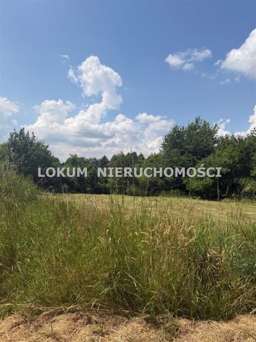 Działka rolno-budowlana Jastrzębie-Zdrój Ruptawa, ul. Rajdowa. Zdjęcie 1