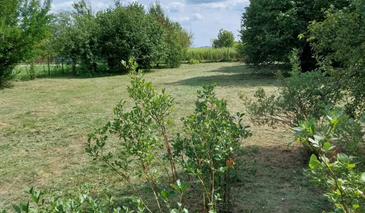 Działka budowlana Zaborówek, ul. Brzoskwiniowa